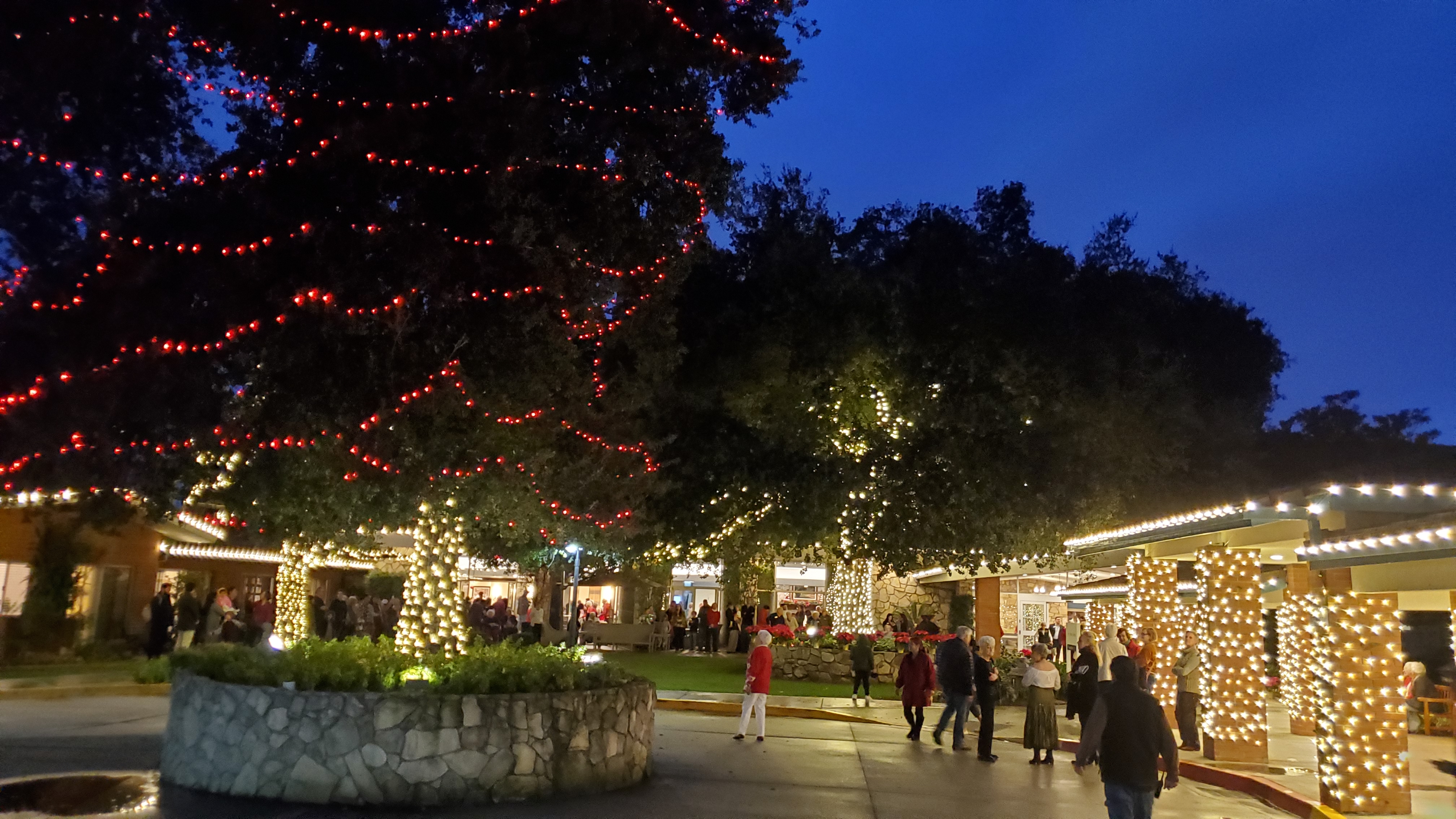 Royal Oaks lights up for the holidays